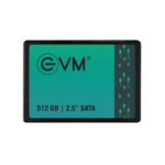 EVM 512 GB SSD